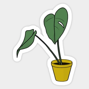 Monstera Deliciosa AKA 'Emmental' Sticker